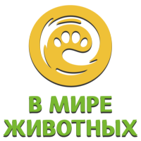 Логотип В мире животных HD